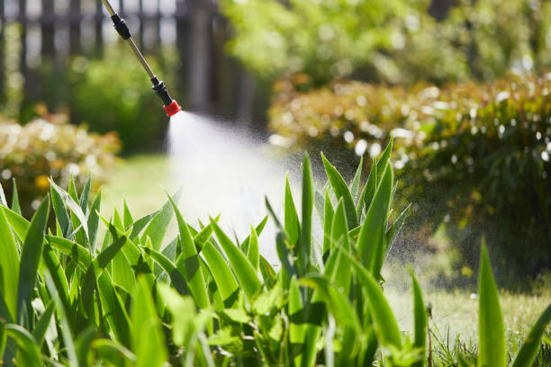 Tamper-Resistant Bait Stations for Rodents in Walnutport