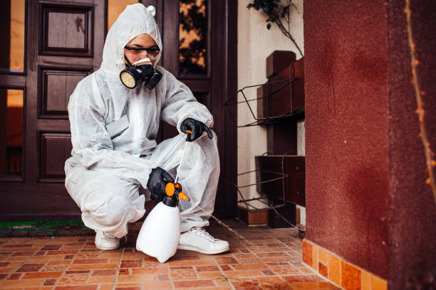 Attic and Crawl Space Rodent Treatment in Walnutport