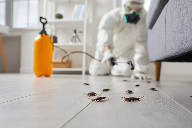 Commercial Rodent Management in Walnutport